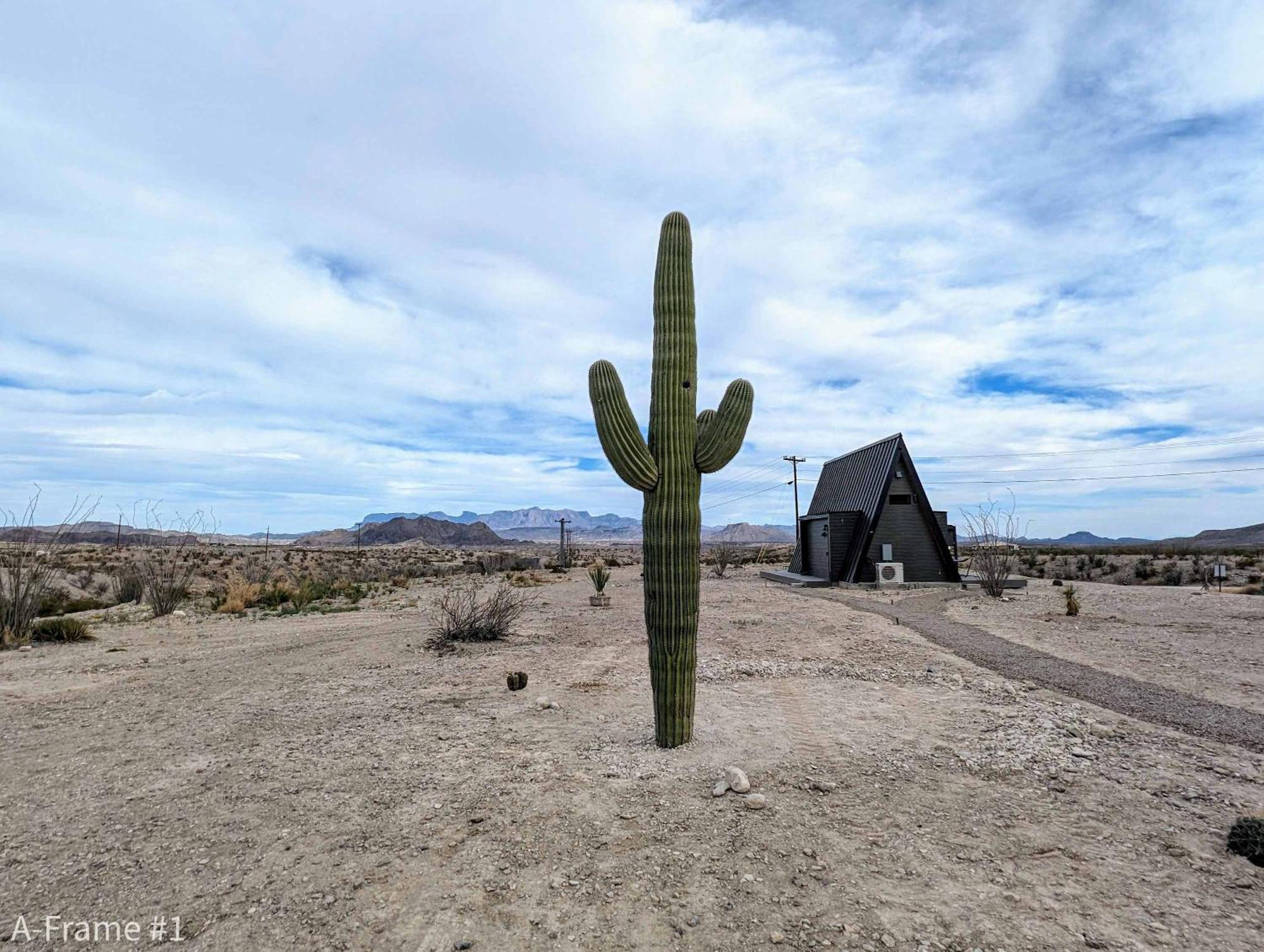 Stardust Big Bend Luxury A-Frame#4 Great Views Vila Terlingua Exterior foto
